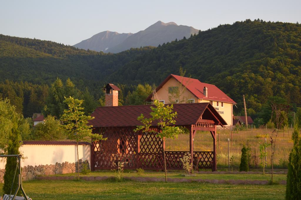 Pensiunea Mountain King Симбета-де-Сус Екстер'єр фото