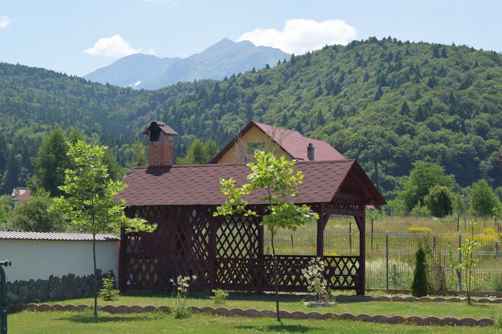 Pensiunea Mountain King Симбета-де-Сус Екстер'єр фото