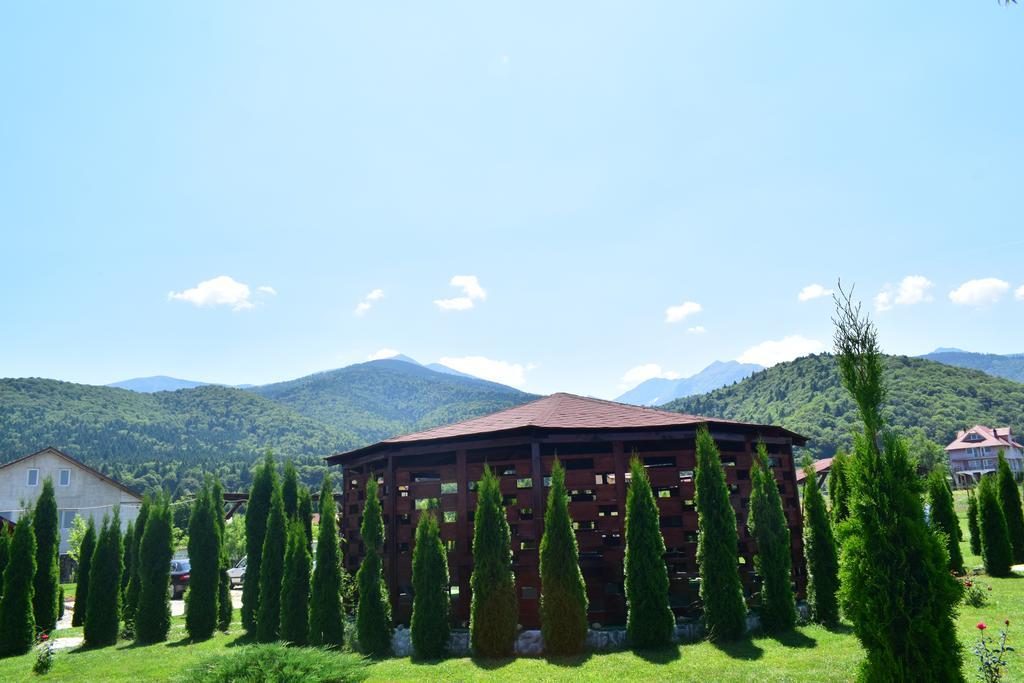 Pensiunea Mountain King Симбета-де-Сус Екстер'єр фото